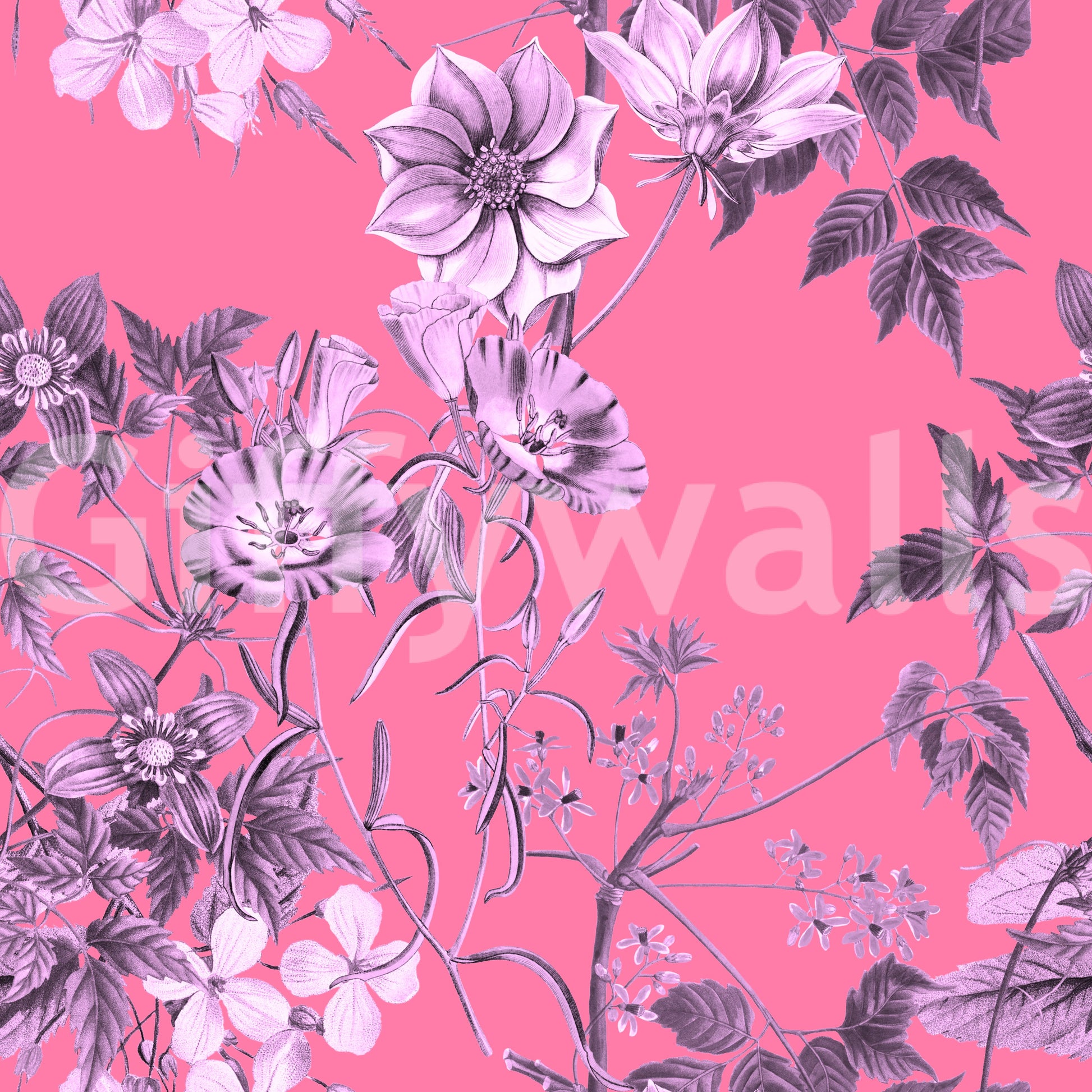 Fuchsia base wallpaper displaying Garden Prints floral linework