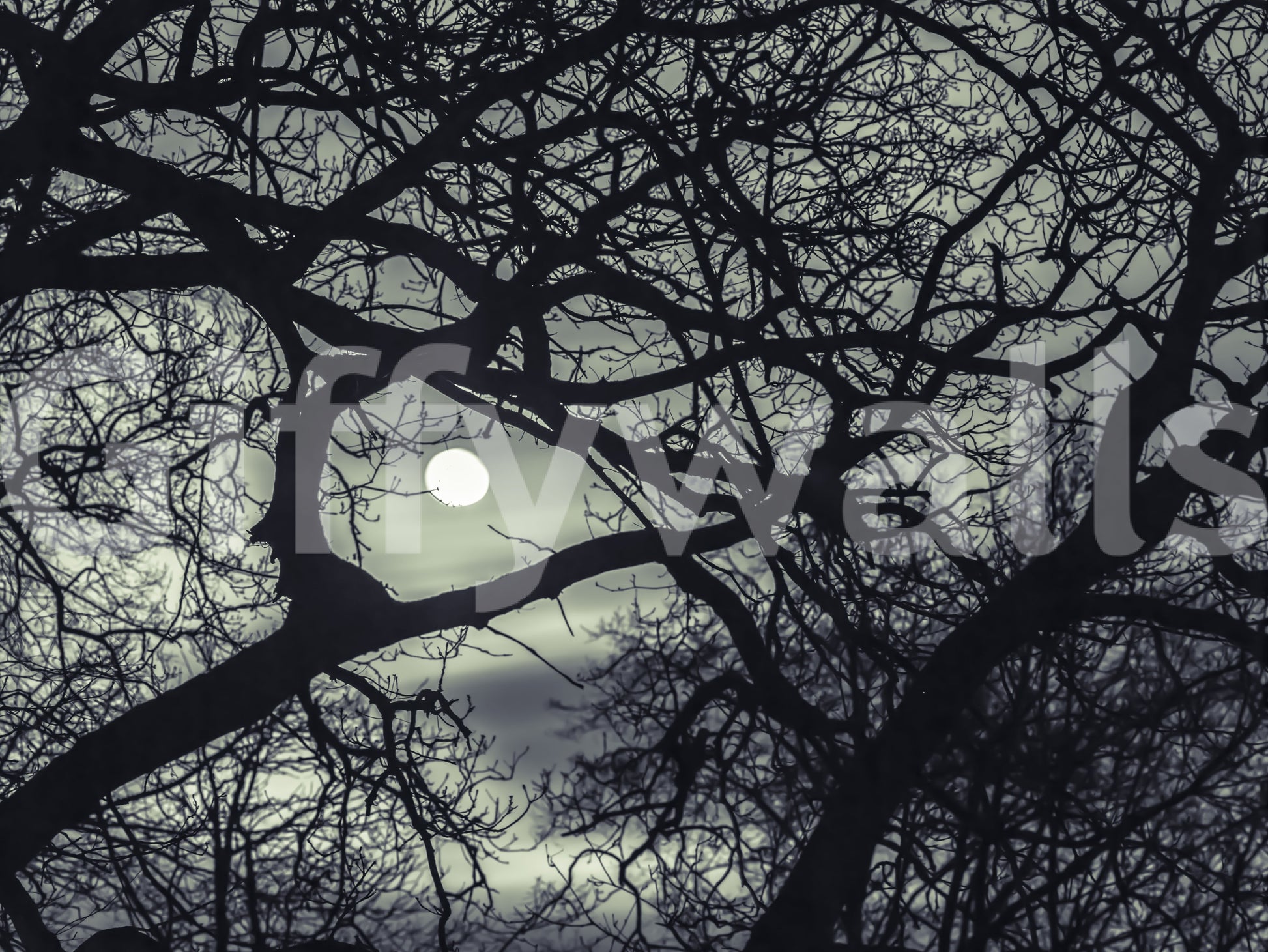Crooked twigs splay outward in every direction across this Midnight Branches wall mural.