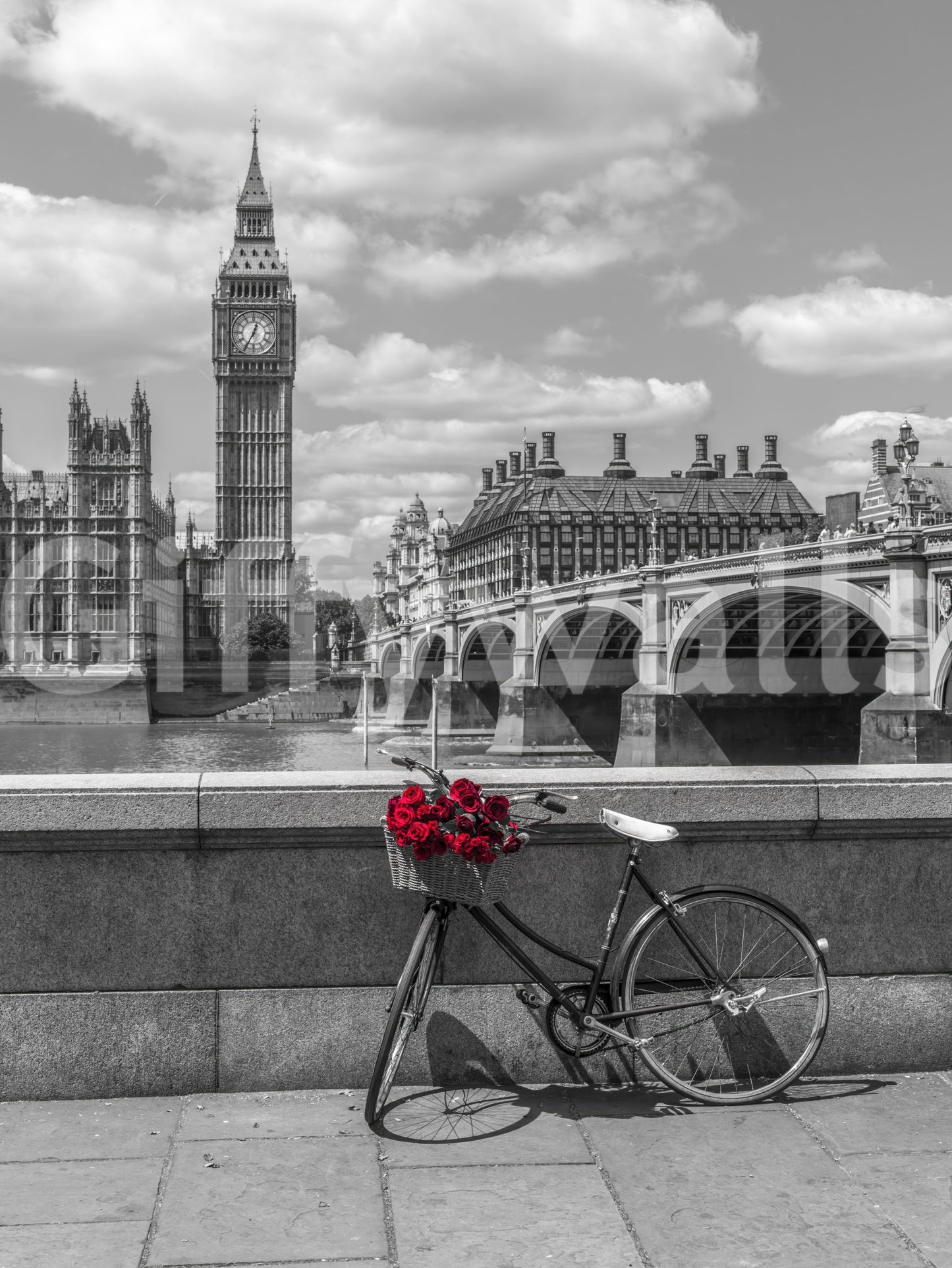 London Love: Monokrom & Røde Roser Vægmaleri
