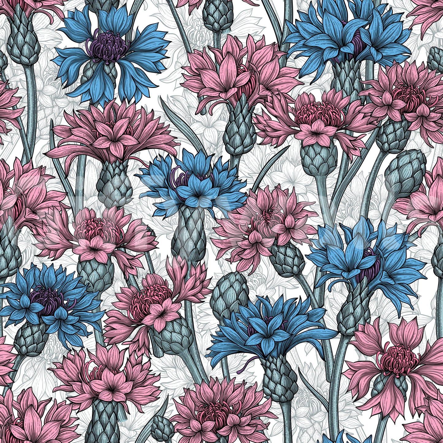 Papel de parede com centáureas cor-de-rosa e azuis sobre fundo branco