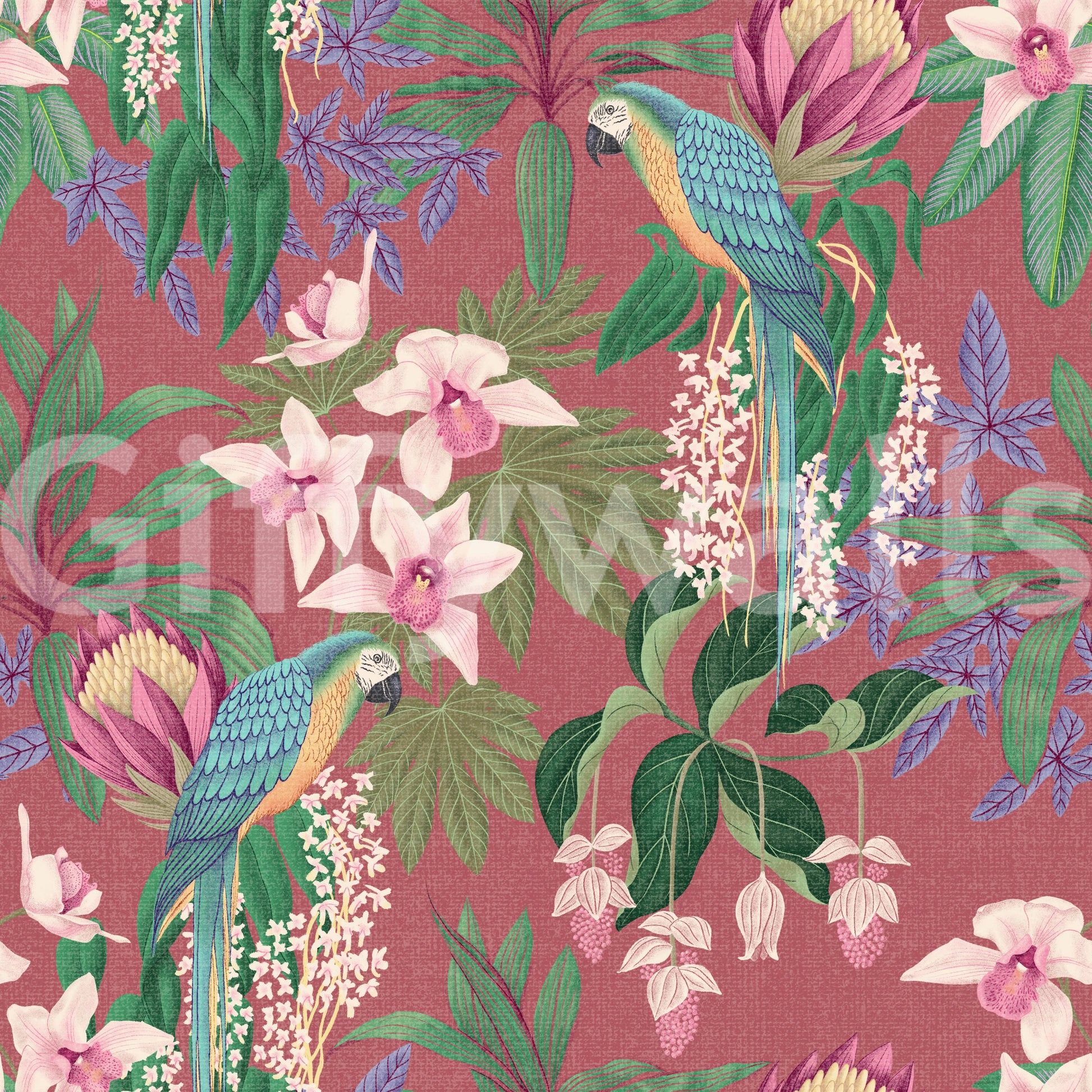 Tropical Macaw & Orchid Bloom wallpaper with colorful parrot garden detail