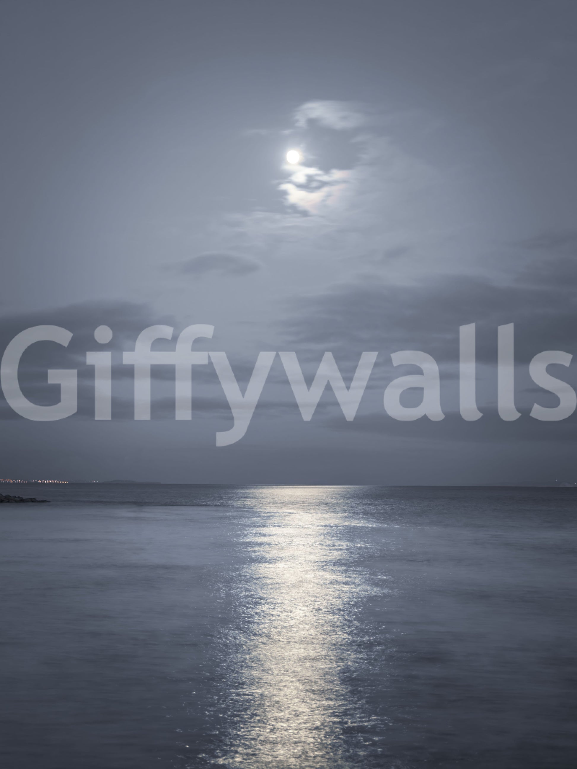 Thin clouds drift above the moon across this Moonlit Ocean wall mural