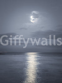 Thin clouds drift above the moon across this Moonlit Ocean wall mural