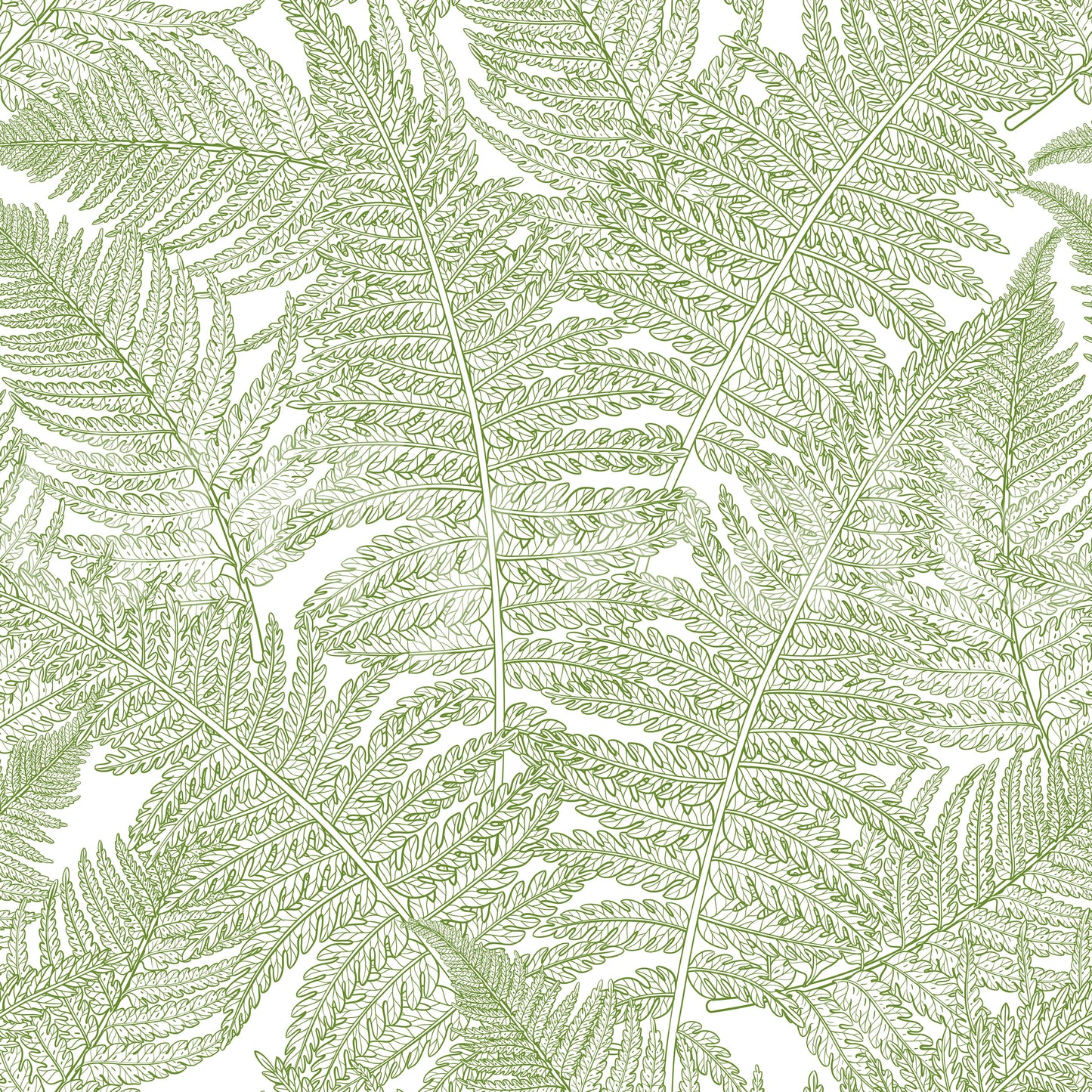 Serene wallscapes: Fern Wallpaper⁠