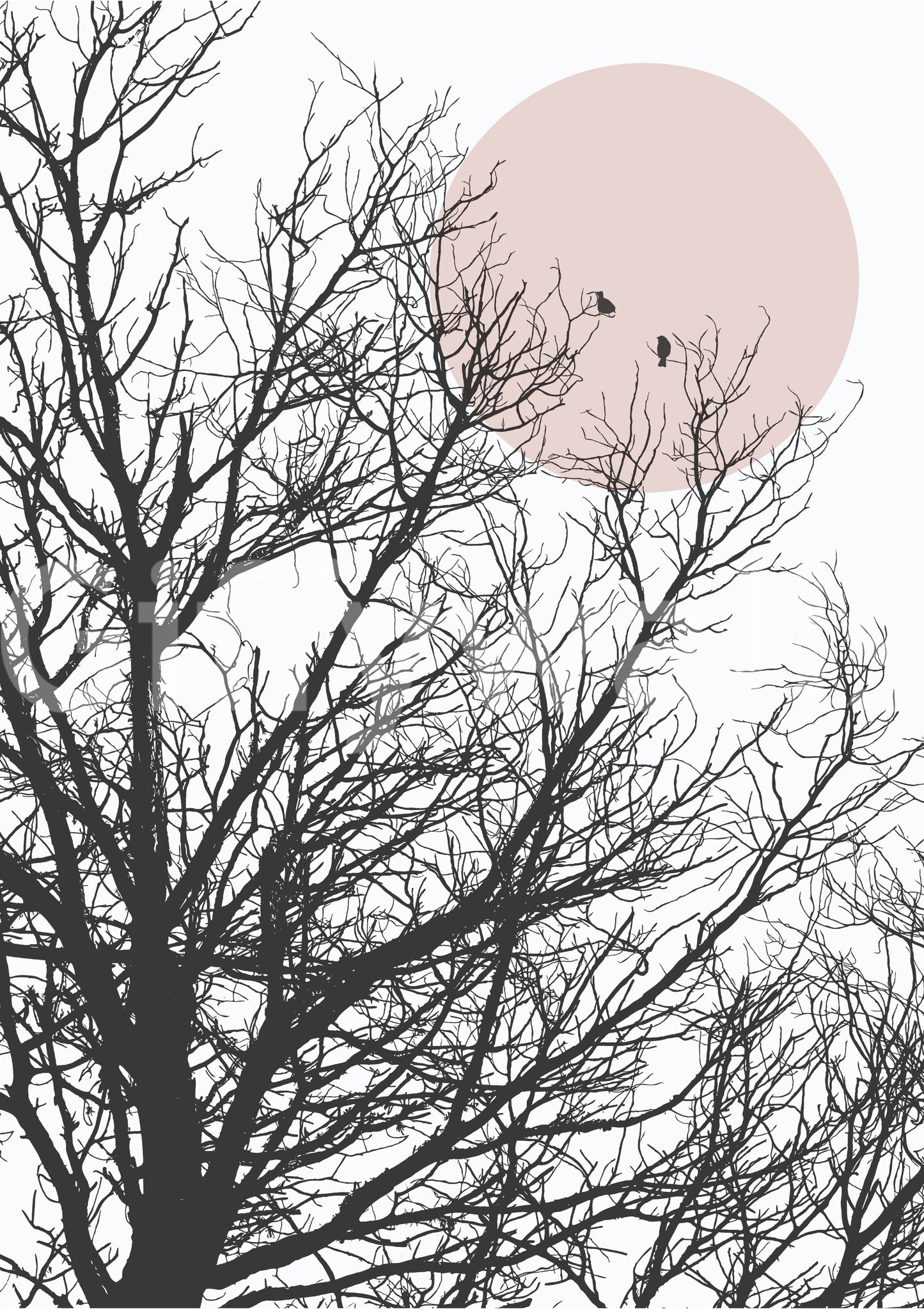 Minimal three-tone palette shapes the mood of this branch and bird wall mural