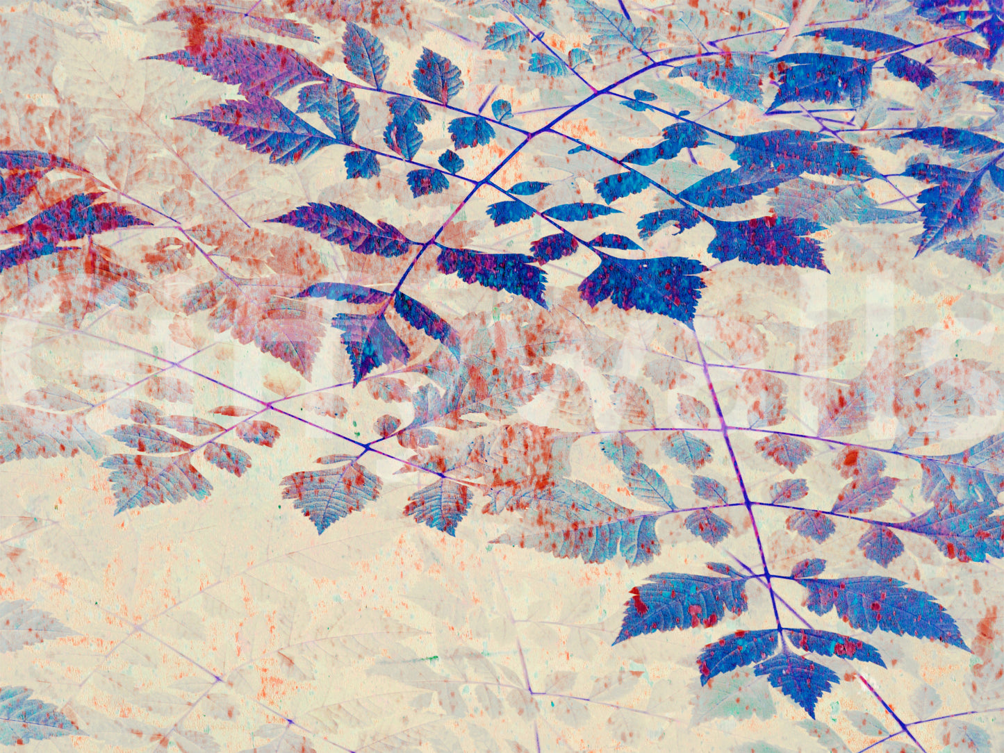 Tapet mural Indigo Foliage