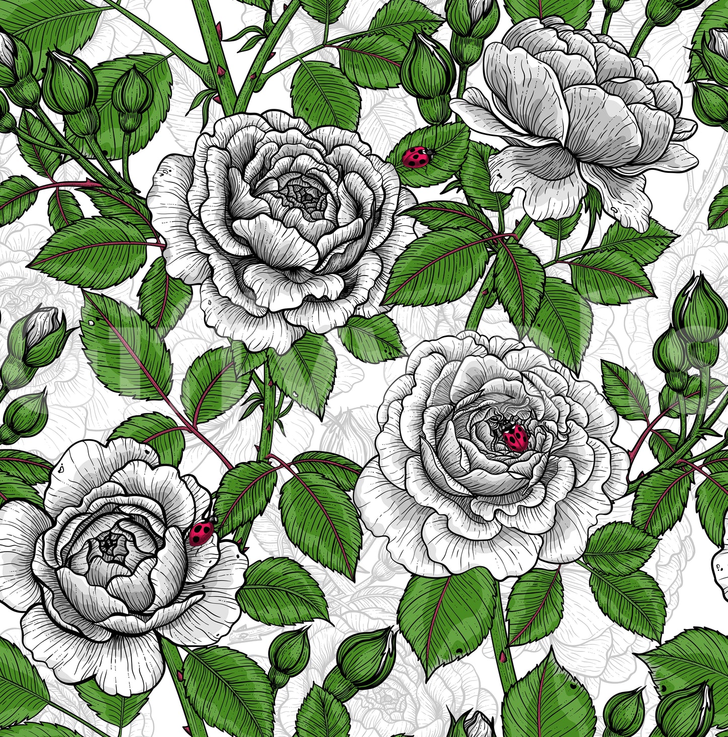 Papier peint jardin de roses blanches