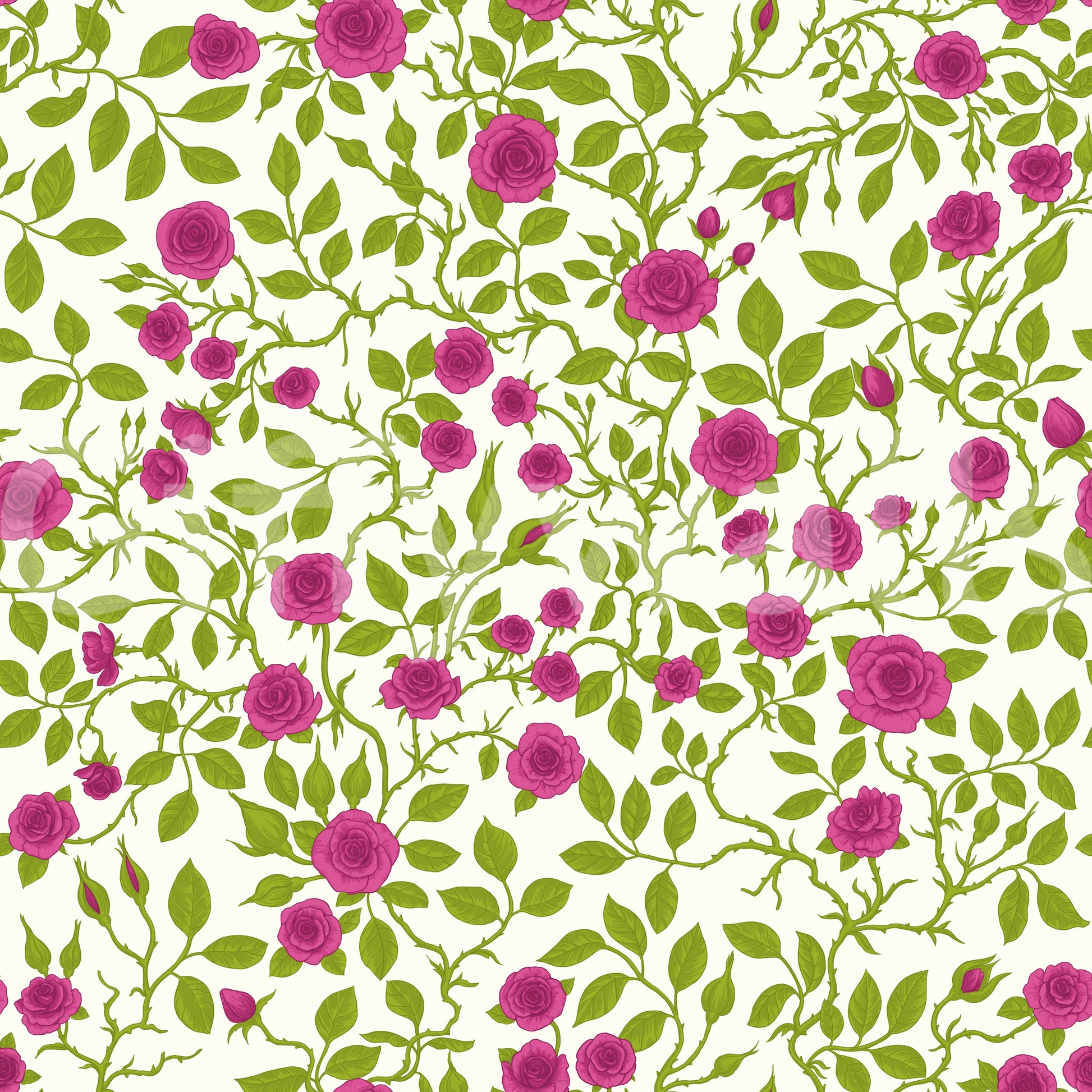 Vine joins meet petals and small buds on this Blooming Rose Trellis wallpaper.