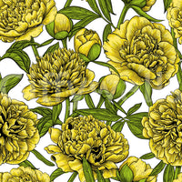 Papier peint Fleur de Pivoine Dorée