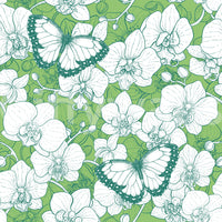Botanical Orchid Garden with Butterflies 2 Wallpaper⁠