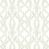 Sage Green Botanical Vine Trellis Wallpaper Wallpaper⁠