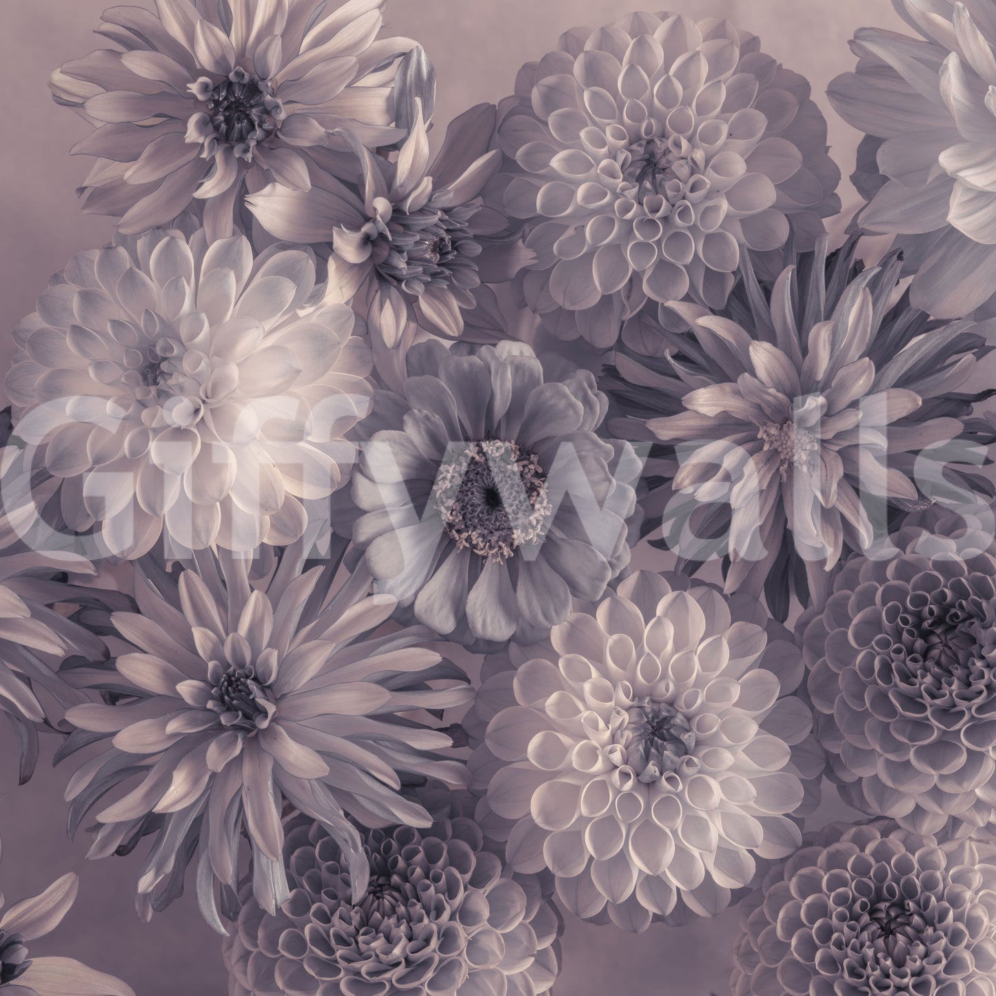 Wandbild Rauchiger Lavendel Botanischer Blumenstrauß