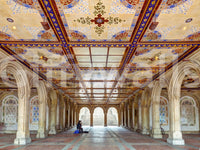 Minton Tile Arkitektonisk Bue Vægmaleri