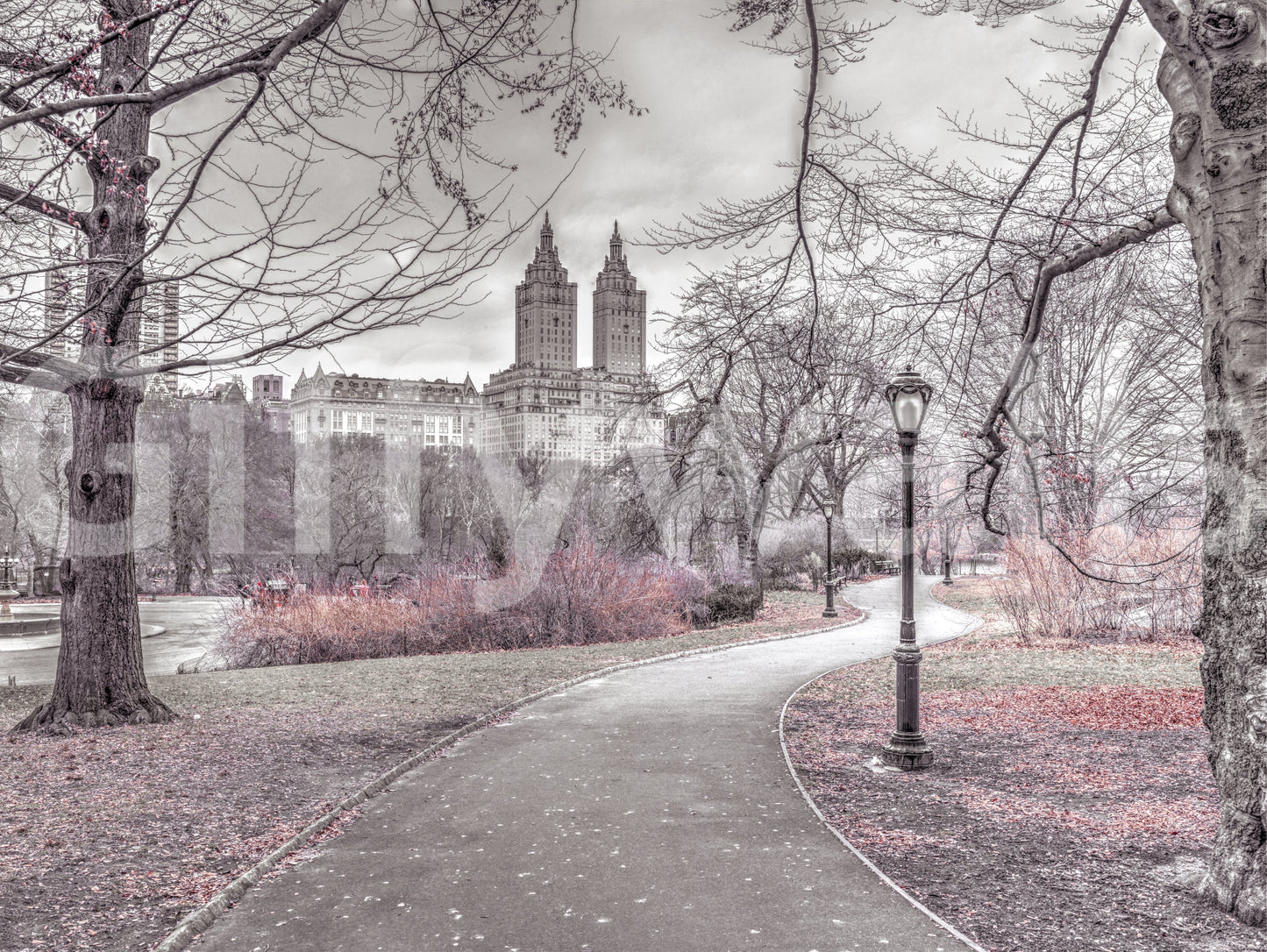 Central Park Skyline Promenade väggmålning