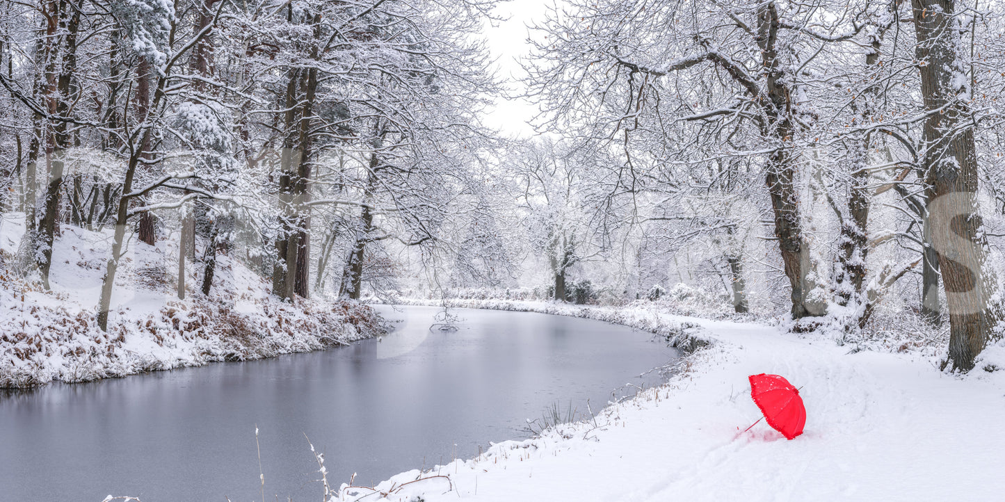 Winter Forest Red Umbrella Wall Mural