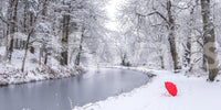 Winter Forest Red Umbrella Wall Mural