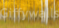 Golden Aspen Forest bevegelsesveggmaleri