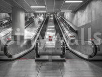 Metallic Urban Transit Symmetry Wall Mural