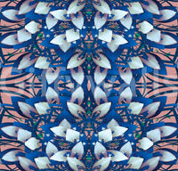 Papier peint Fleur géométrique rose et bleu - Papier peint IKEBANA DESIGN