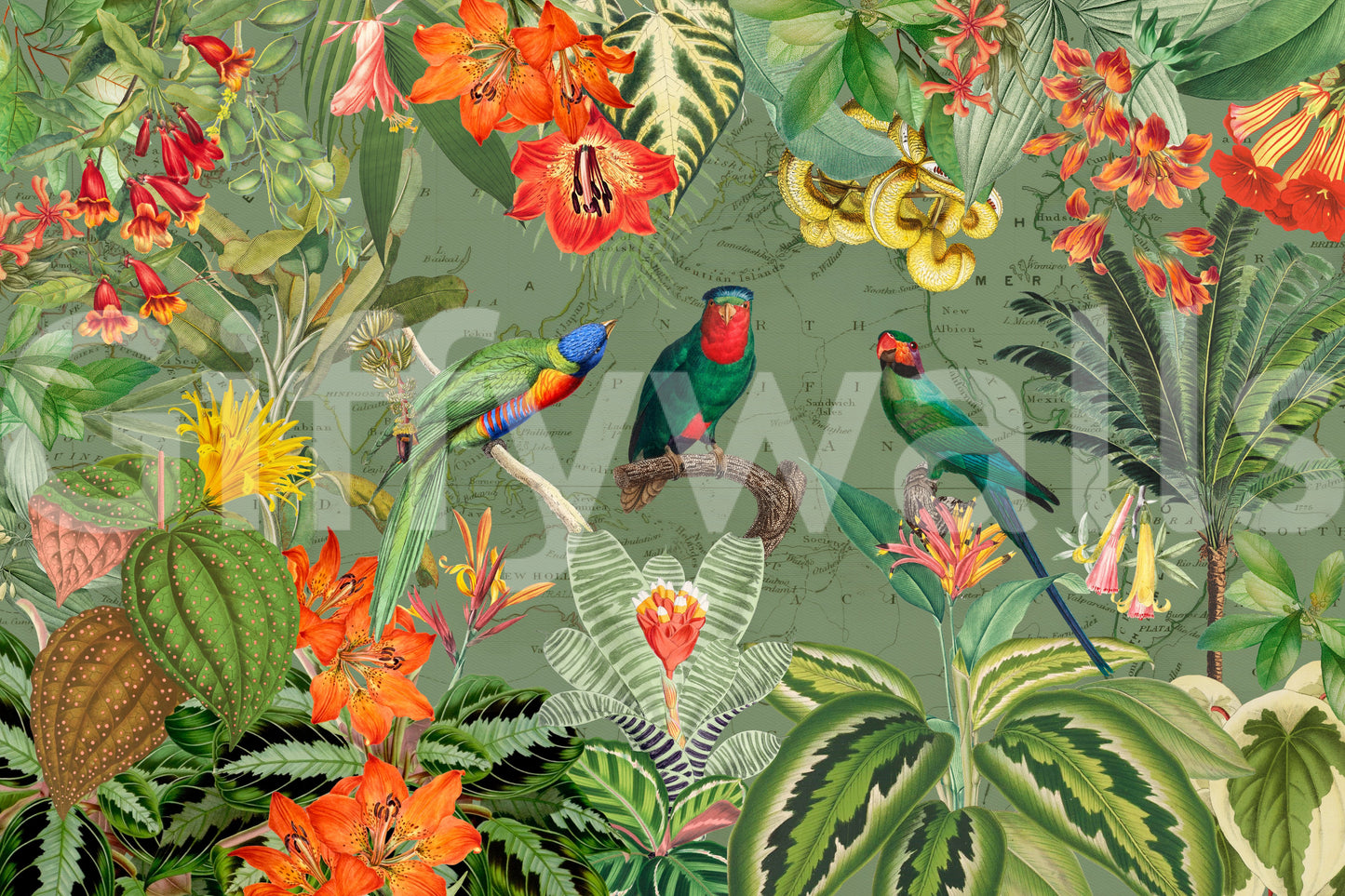 Murale da parete Esploratore Botanico Esotico