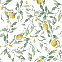 Carta da parati con illustrazione di aranceto mediterraneo