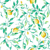 Mediterranean Citrus Grove Orchard Wallpaper⁠