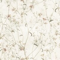 Ethereal Meadow Wildflower Sketch Wallpaper⁠