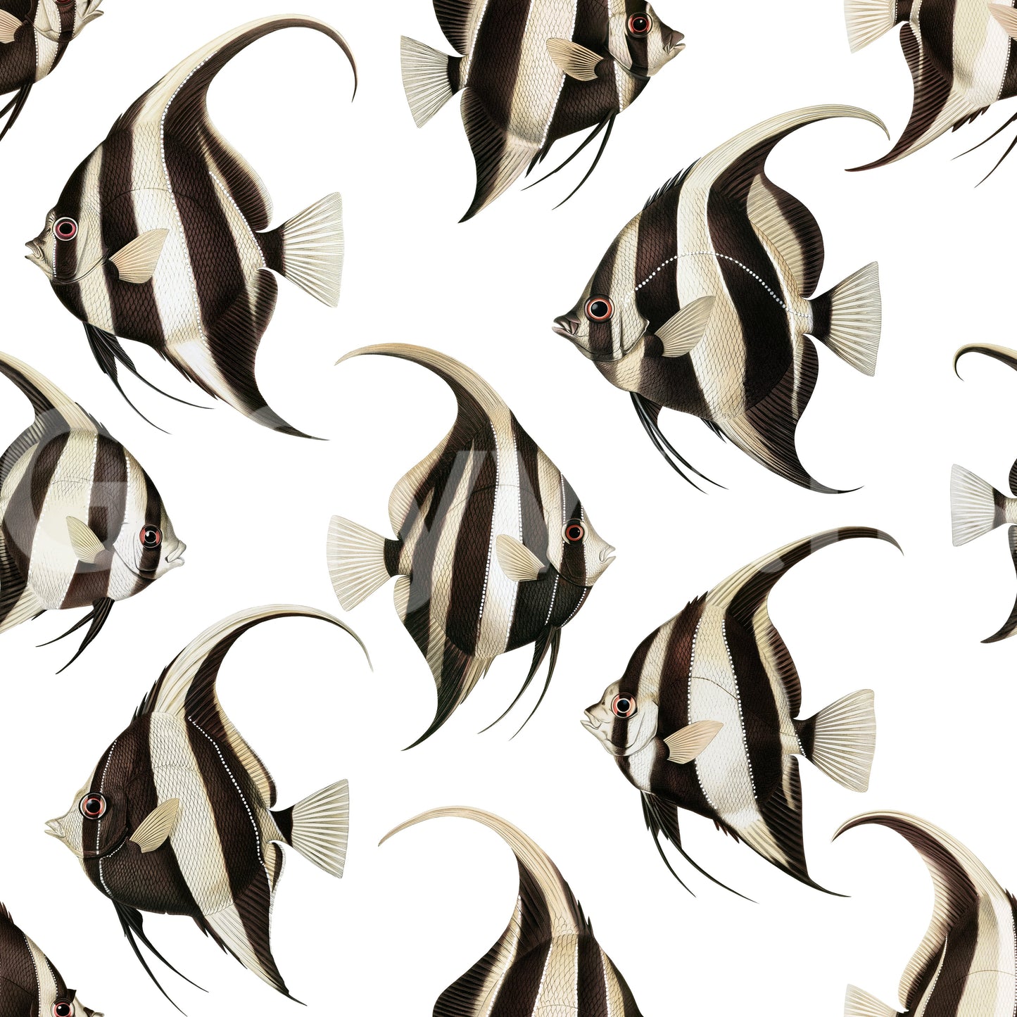 Spade The Fish 01 Wallpaper⁠