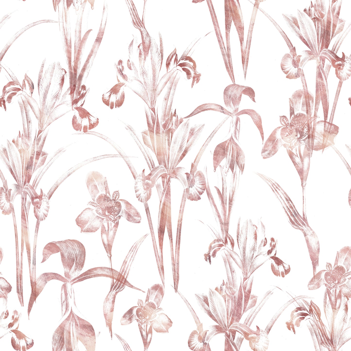 Æterisk blush-iris-have-tapet
