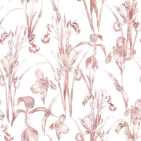 Æterisk blush-iris-have-tapet