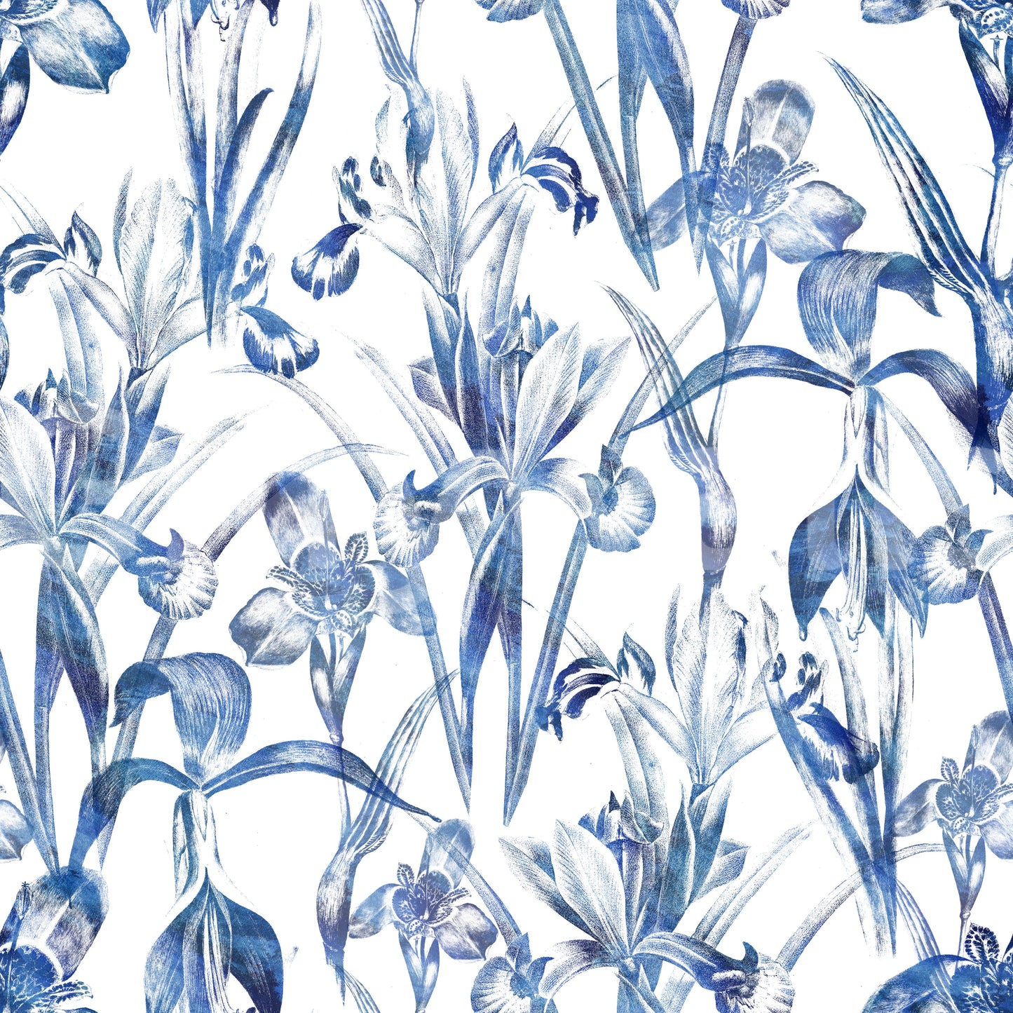 Indigoblaue botanische Skizzen-Tapete
