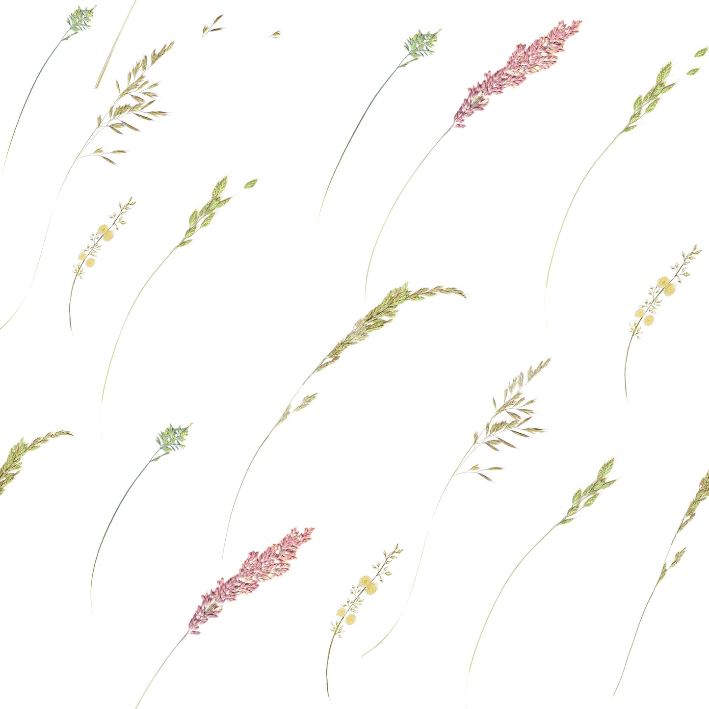 Papel pintado de tallos botánicos etéreos