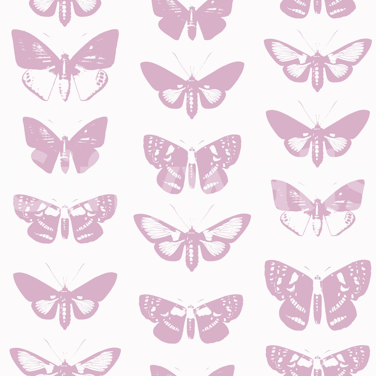 Soft pink moth and butterfly assemblage design on a white background GD12294
