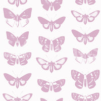 Soft pink moth and butterfly assemblage design on a white background GD12294