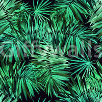 Papier peint Verdant à motif de canopée de palmiers tropicaux