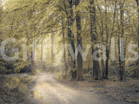 Wandbild „Gedämpfter Herbstwaldweg“