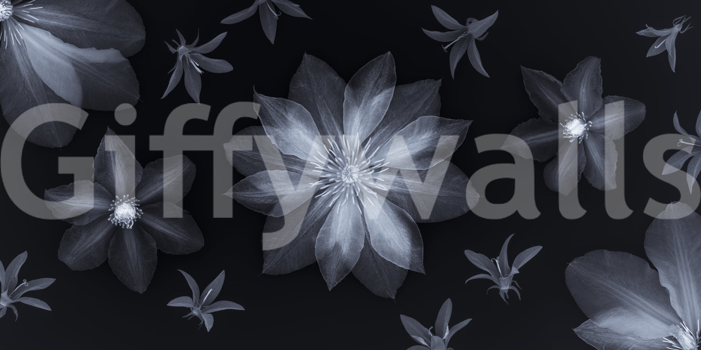 Ethereal Night Flora Wall Mural