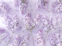 Springtime Lilac Petal Clusters Wall Mural