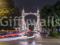 Metropolitan Bridge Light Trails-muurschildering