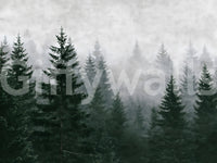 Immergrüne Wildnis im Nebel – Wandbild
