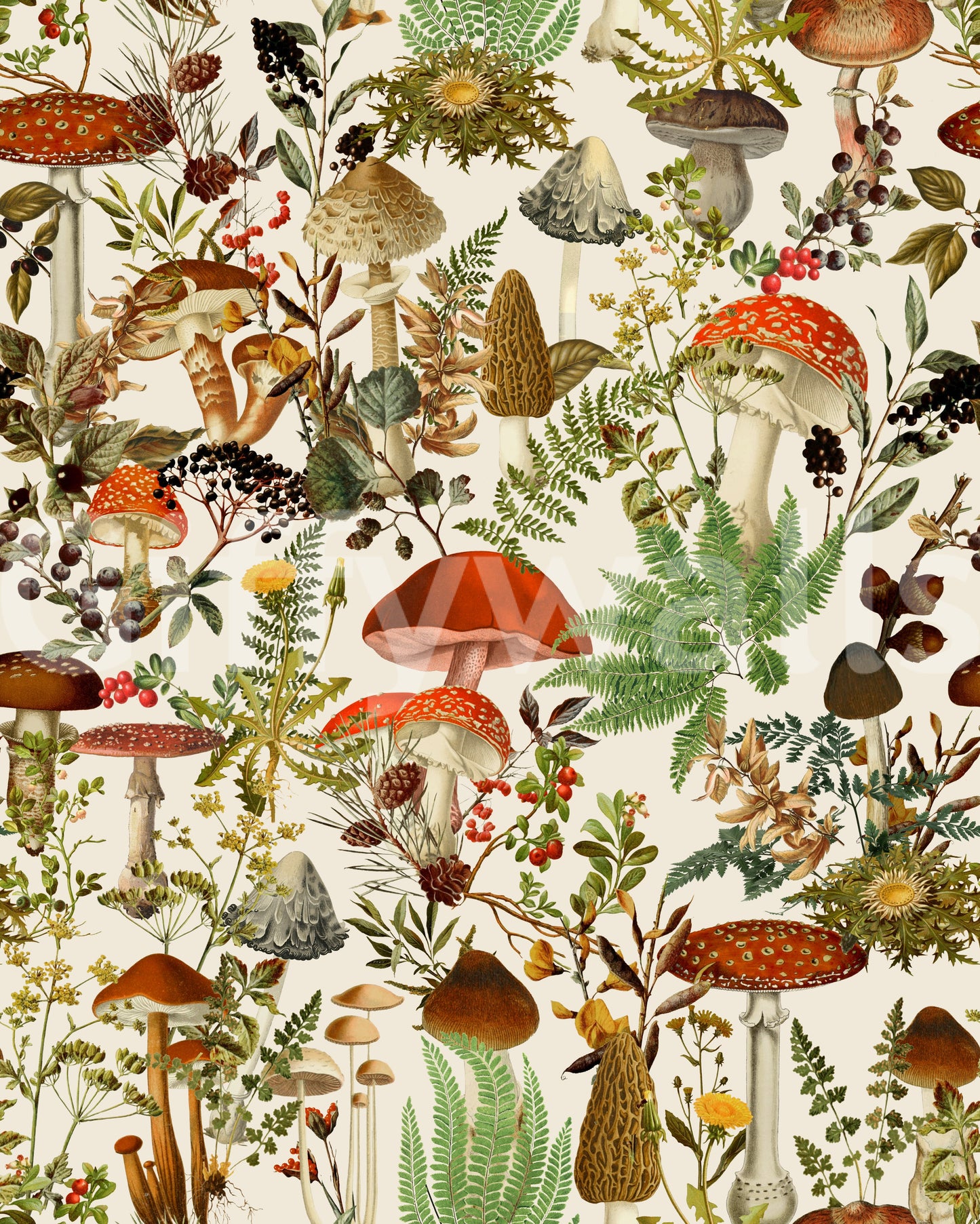 Papier peint rustique de bolets et de fleurs des sous-bois