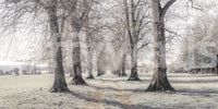 Rustikales Winterhain-Wandbild mit Perspektive