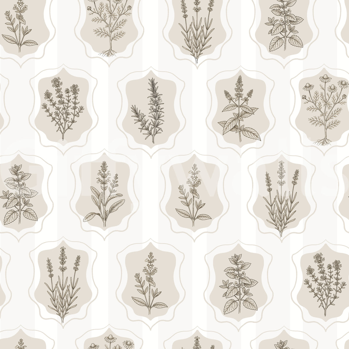 Papier peint de collection d’herbiers botaniques vintage