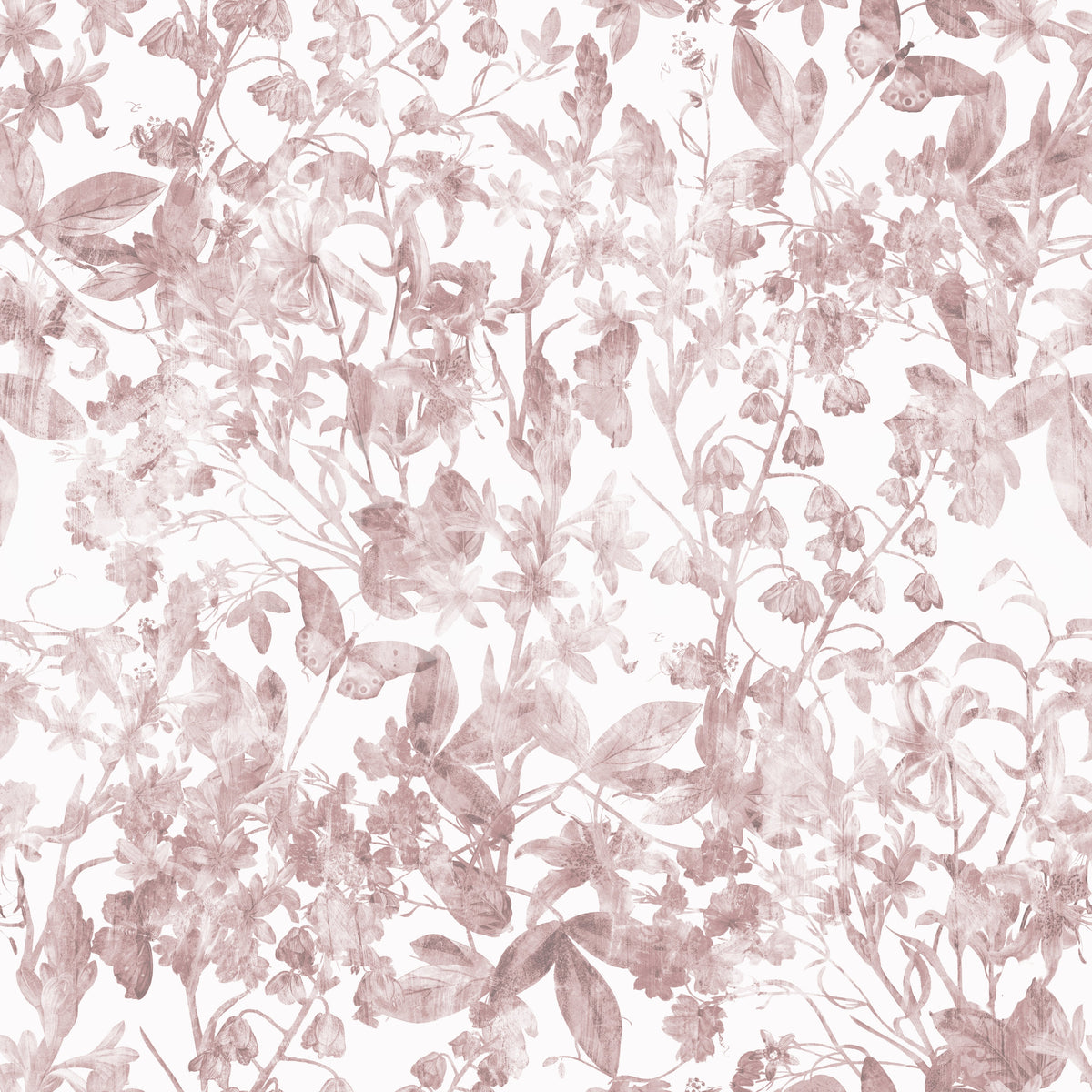 Tapet med botanisk engskitse i blush