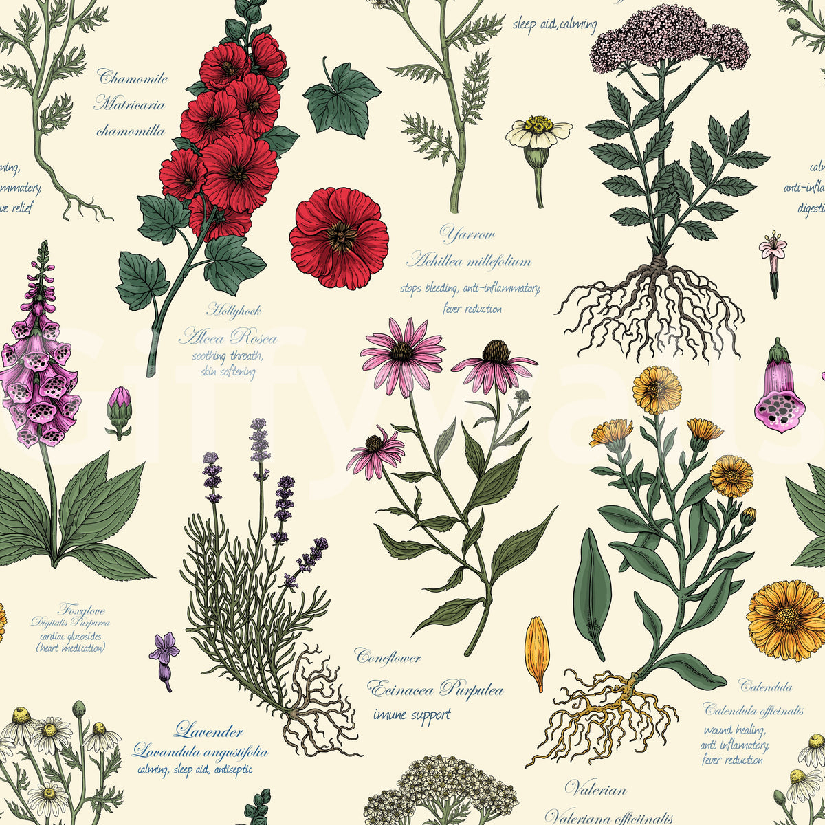 Vintage Botanical Herbarium Study Wallpaper⁠