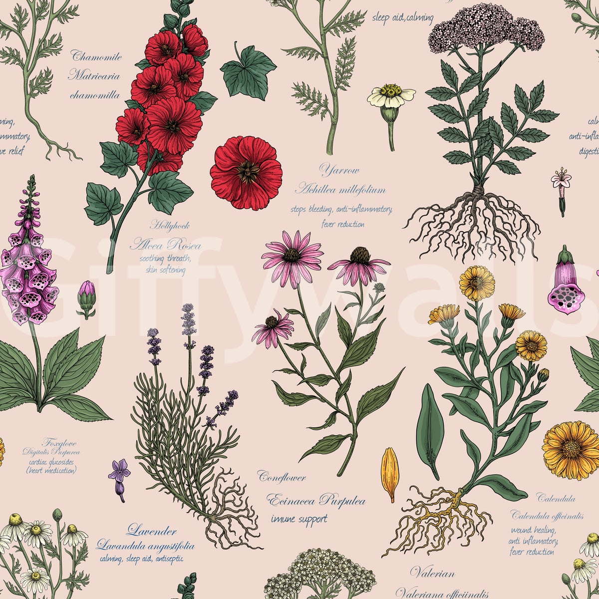 Medicinal Wildflower Garden Study Wallpaper⁠