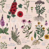 Medicinal Wildflower Garden Study Wallpaper⁠
