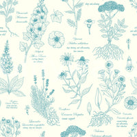 Papel tapiz con ilustración botánica de un herbario en boceto⁠