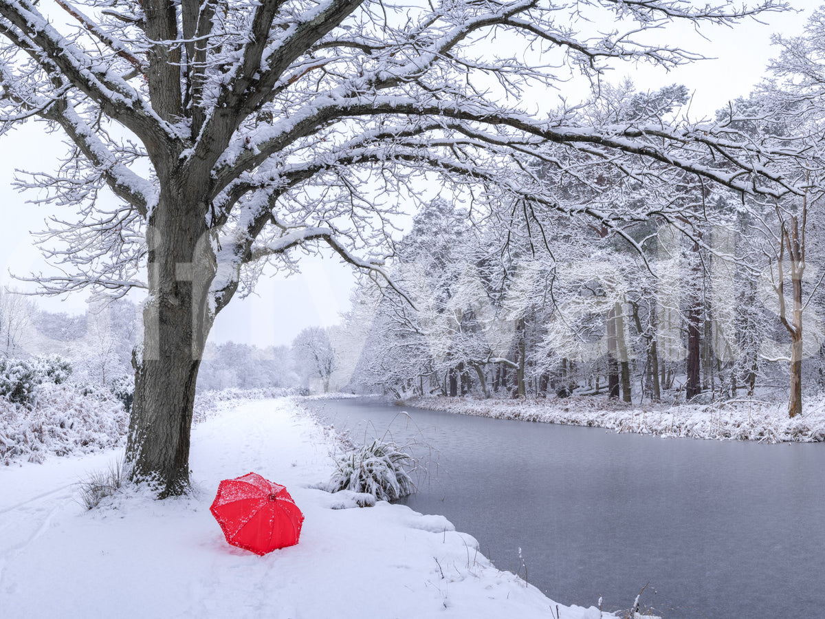 Wandbild mit zugefrorenem Kanal und winterlichem Wald