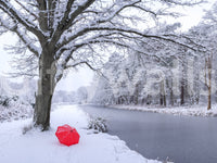 Wandbild mit zugefrorenem Kanal und winterlichem Wald